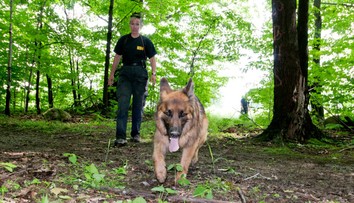 V americkom meste zmizlo za dva týždne takmer 30 detí. Polícia sa obáva, že ide o obchod s ľuďmi