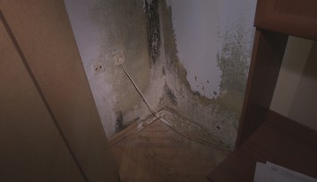 Vlhkosť ako v teráriu. Obyvatelia bytovky sa pre plesnivé steny roky naťahujú so staviteľom