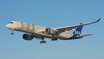 Lietadlo muselo predčasne pristáť. Z podávaného jedla vyskočila myš