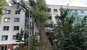FOTO: Na bytovku v Bratislave sa zrútil obrovský strom. Poškodil balkóny aj fasádu