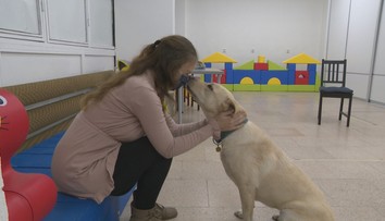 Linda trpí vzácnou fóbiou. Aj keď spĺňa kritériá, štát jej asistenčného psa nepreplatí