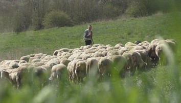 Vytúžená jar má trpkú príchuť. V Brusne na Pohroní podľahol covidu najlepší bača