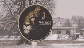 Stropkovská zoo prišla o maskota. Úrady rozhodli, že levicu chovali v zlých podmienkach