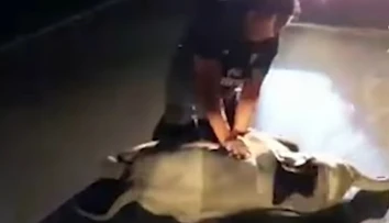 VIDEO: Záchranár je ospevovaným hrdinom. V civile oživoval zrazené slonie mláďa