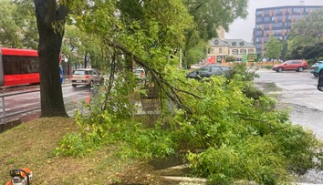 Od rána zasahujú hasiči aj policajti. Bratislava vyhlásila pre počasie mimoriadnu situáciu