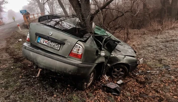 Dostal šmyk a narazil do stromu. Vodič nemal šancu náraz prežiť