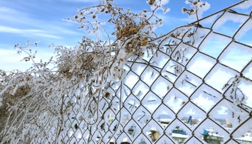 Na Slovensko prichádza ochladenie aj nočné mrazy, oteplí sa až o pár dní