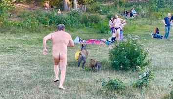 Nudista naháňal diviaka, ktorý mu vzal tašku s laptopom