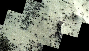 Vesmírna sonda odfotila na Marse záhadné útvary, ktoré pripomínajú húf obrovských pavúkov