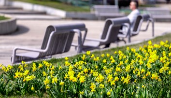 Pred sviatkami nás čaká výrazná zmena počasia. Teploty vyletia prudko nahor