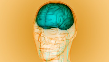 Ako súvisí Parkinsonova a Alzheimerova choroba s rodným jazykom? To zisťujú vedci