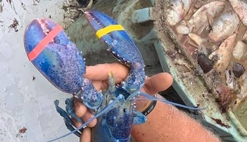 Kapitálny úlovok otca so synom. Šanca na niečo podobné je jedna ku dvom miliónom