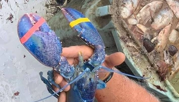 Kapitálny úlovok otca so synom. Šanca na niečo podobné je jedna ku dvom miliónom