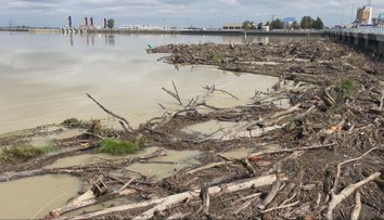 Turbíny v Gabčíkove idú na plné obrátky. Problémové sú však masy naplaveného dreva
