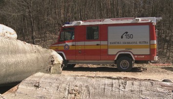 Nešťastie na východe Slovenska. Muž (†51) pílil strom a privalil ho ďalší