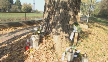 Tragický prípad, kedy zabil konár chlapca z Nitry, je uzatvorený. Zodpovednosť nesú vodohospodári