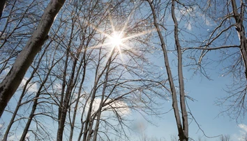 Koniec meteorologickej zimy. Lúčenie s ňou bolo slnečné a teplé