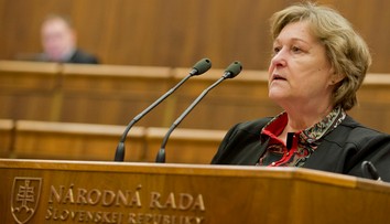 Plénum nevzalo na vedomie správu Dubovcovej o porušovaní práv detí