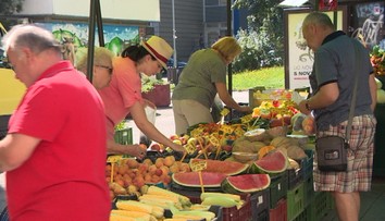 Dopestovali ste viac ako potrebujete? Svoje potraviny môžete predať aj bez živnosti