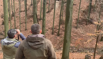 Problémové medvede trápia ľudí čoraz viac. Špeciálny zásahový medvedí tím sa preto rozrastá