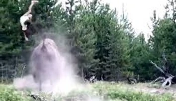 VIDEO: Bizón zaútočil na dievčatko (9). Vyhodil ju do vzduchu ako nič