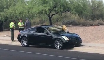 Bizarná nehoda: Vodič v plnej rýchlosti vpálil do kaktusu