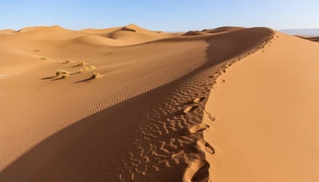 Sahara bola kedysi plná zelene. Vedci pravdepodobne zistili, prečo sa zmenila na púšť