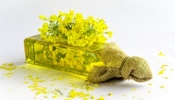 Legendárne oleje a tuky na varenie by sa mohli opäť vyrábať na Slovensku