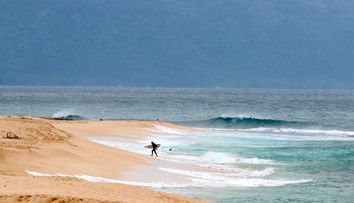 Pri útoku žraloka na Havaji prišiel o život známy herec z Pirátov Karibiku