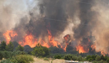 Prechádzali sme cez oheň, už sme tu nemuseli byť. Slovák opísal drámu v chorvátskych plameňoch