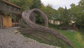 Dizajnové vŕbové prútie je v zahraniční bežné, no u nás raritou. Pozrite si, ako splýva s prírodou