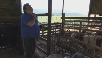 Majiteľ farmy je zúfalý, psy mu zabíjajú zvieratá a pomoci sa nedočkal ani od úradov