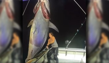 VIDEO: Medzi lovcami tuniakov sa nestratí. Michelle vytiahla na palubu poltonovú ozrutu