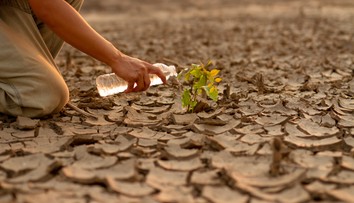 Aká je naša ekologická budúcnosť? Zakročiť sa rozhodli nielen znepokojené matky