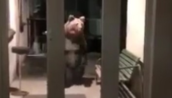 VIDEO: Nečakaná návšteva na polícii v Starom Smokovci. Pozrite sa, kto stál pred dverami