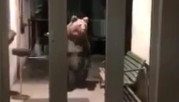 VIDEO: Nečakaná návšteva na polícii v Starom Smokovci. Pozrite sa, kto stál pred dverami