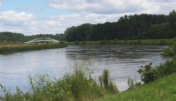 Pre intenzívne dažde vyhlásili na rieke Morava výstrahu pred povodňami. Pritekajúca voda zrejme zaplaví liahniská komárov