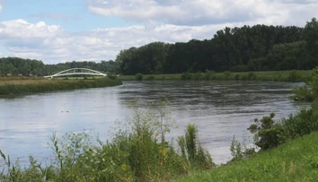 Pre intenzívne dažde vyhlásili na rieke Morava výstrahu pred povodňami. Pritekajúca voda zrejme zaplaví liahniská komárov
