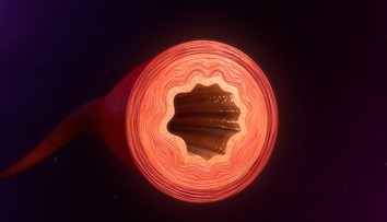 Koronavírus napáda aj cievy. Vysvetľuje to príznaky COVID-19, ktoré boli pre vedcov záhadou