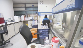 Ukrajinci na Slovensku. Vykonávať svoje pôvodné profesie je pre mnohých takmer nemožné