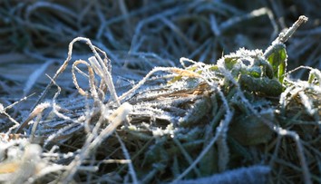 Čaká nás prvá vlna ochladenia. Na Slovensko sa vrátia mrazy