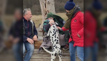 Rodinná prechádzka lesom sa skončila tragédiou. Poľovník im zastrelil psa