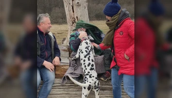 Rodinná prechádzka lesom sa skončila tragédiou. Poľovník im zastrelil psa