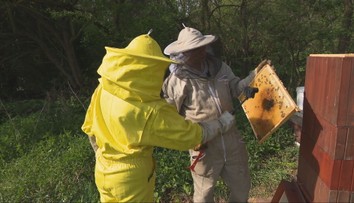 Medy rodiny z východného Slovenska zbierajú úspechy na svetových súťažiach. Boli sme sa pozrieť na ich včely