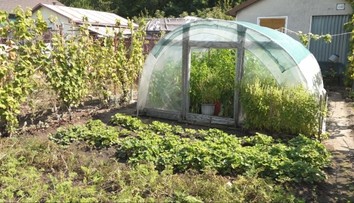 Pretrvávajúce horúčavy trápia aj záhradkárov. Úroda im predčasne padá zo stromov