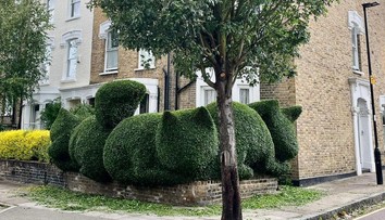 Architekt využíva svoje schopnosti netradičným spôsobom: Jeho kreativita v záhrade vás prekvapí