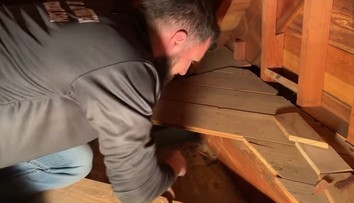 VIDEO: Majiteľke domu nedal spávať chýr o ukrytých peniazoch. Slušnú sumu našiel lovec pokladov