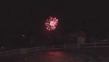 Ohňostroje si niektorí neodpustili ani v národných parkoch. Lesnú zver to môže aj zabiť