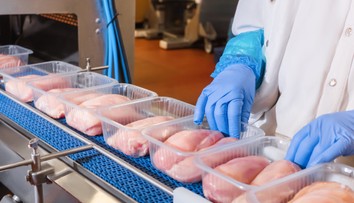 Jeden mŕtvy a stovka nakazených. Európe hrozí epidémia salmonelózy z poľskeho kuracieho mäsa