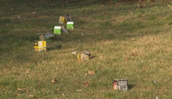 Po novoročných oslavách sa niektoré miesta zmenili na smetisko